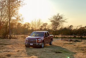Ford Truck in field