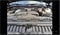 2024 GMC Sierra 2500HD 4WD Crew Cab Standard Bed SLE