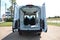 2026 Ford Transit Cargo Van